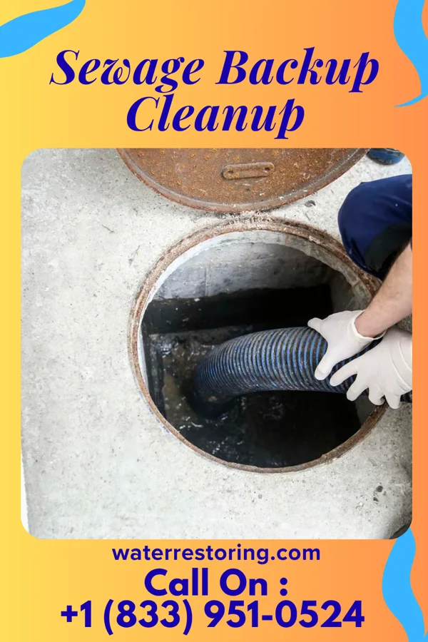 Sewage Backup Cleanup in Lebanon, KY