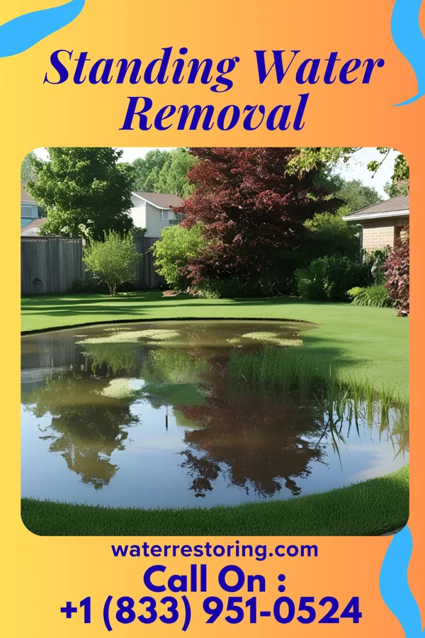 Standing Water Removal in Lebanon, KY